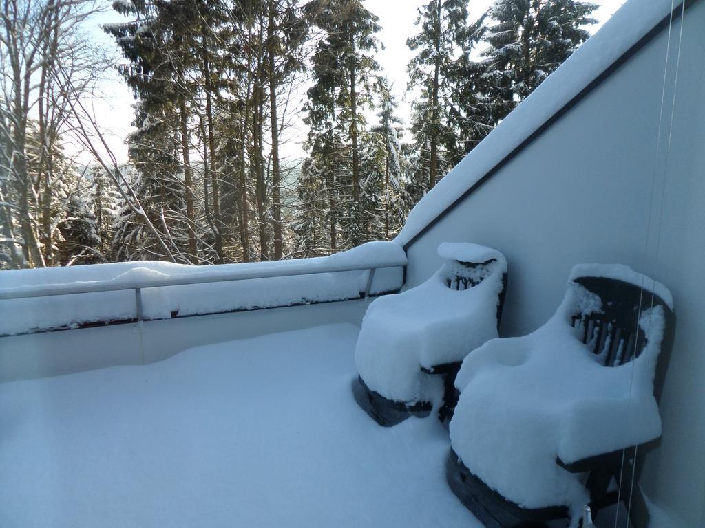 Terrassenhaus Winterberg Daire Dış mekan fotoğraf